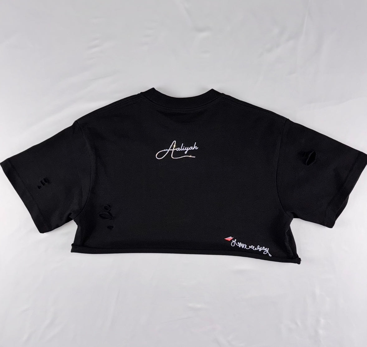 AALIYAH - GORGEOUS AND VICIOUS CROP TOP T-SHIRT FOR WOMEN